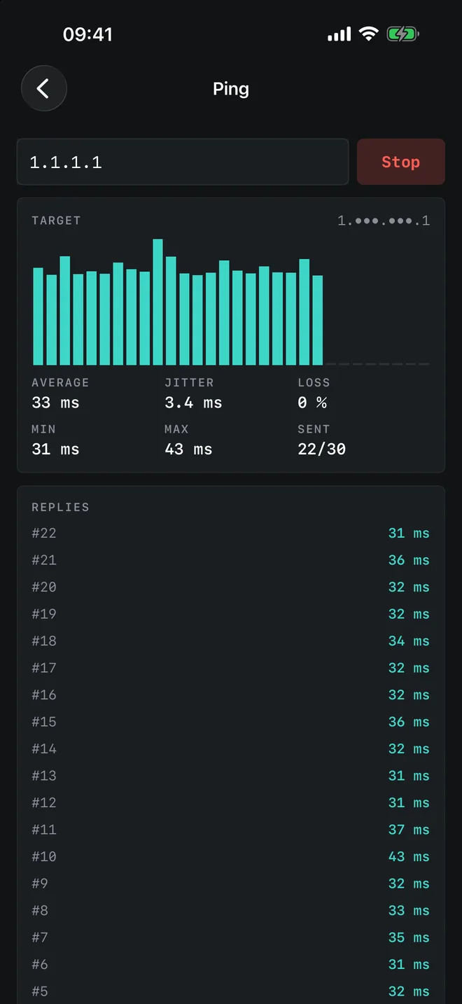 Ping — iPhone